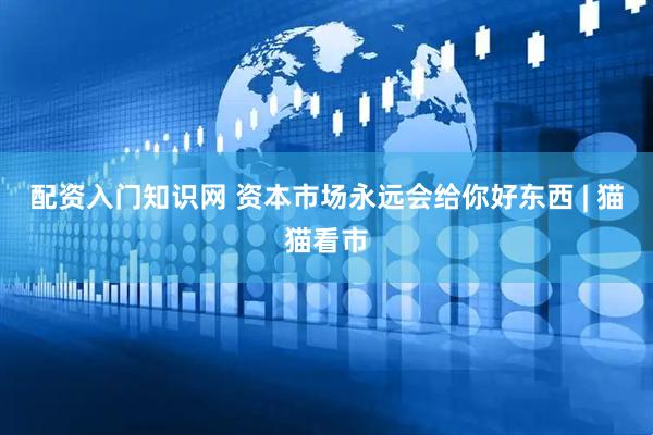 配资入门知识网 资本市场永远会给你好东西 | 猫猫看市